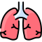 lungs
